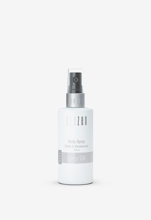 Janzen Parfumirani deodoranti Body spray grey 04 100 ml