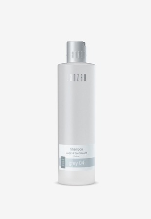 Janzen Šampon za lase Shampoo grey 04 300 ml